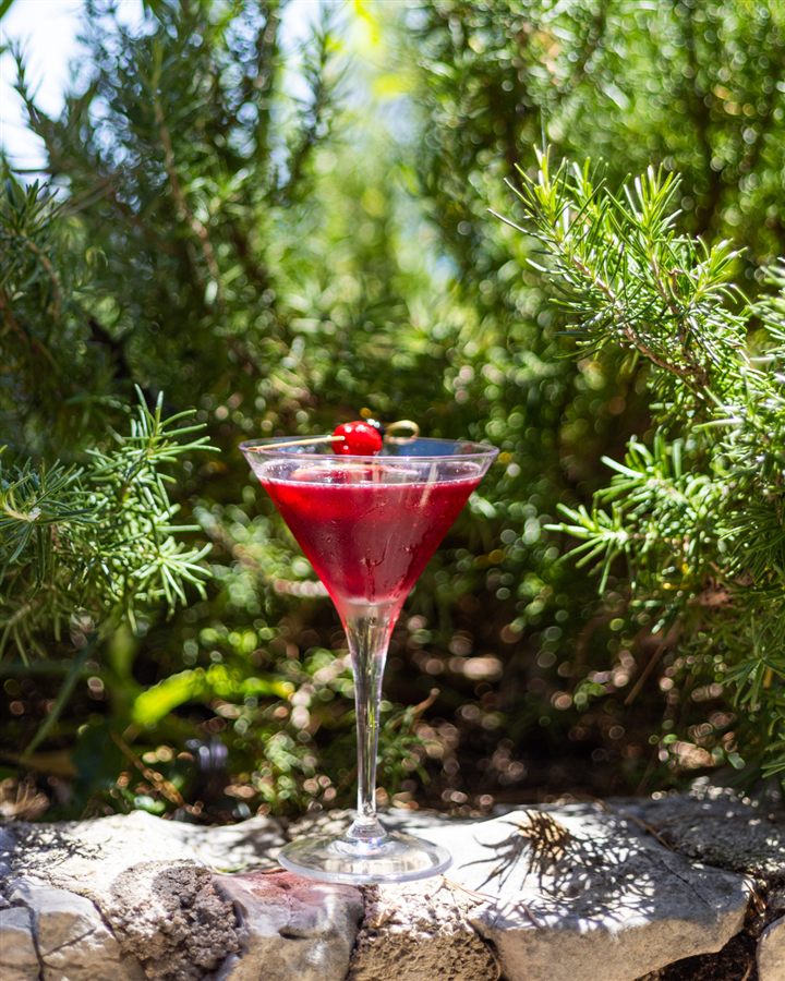 Red Cosmo